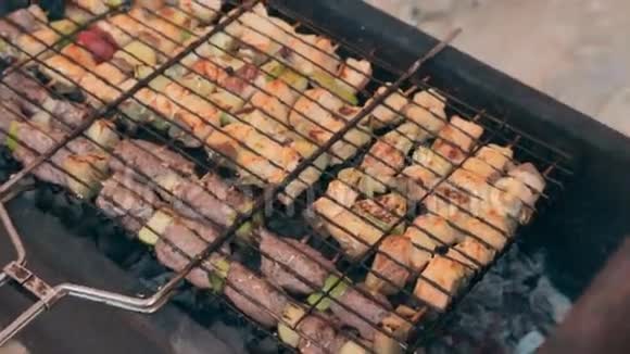 户外烧烤时用烤蔬菜烤出令人垂涎的各种肉类视频的预览图