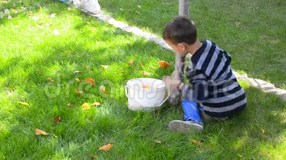秋天收集树叶的孩子视频的预览图