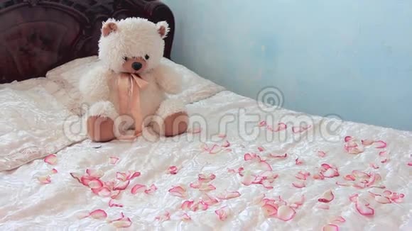 穿着花瓣结婚玫瑰的泰迪熊在床上视频的预览图
