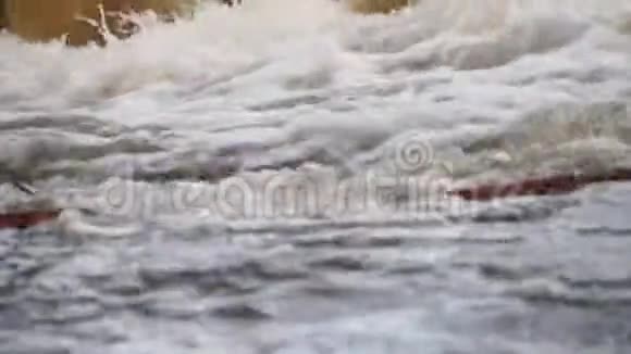 冒泡的山河野生动物春天里汹涌的山河视频的预览图