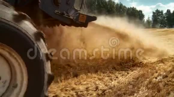 联合收割机收割小麦玉米吃的小麦农业文化特写视频的预览图