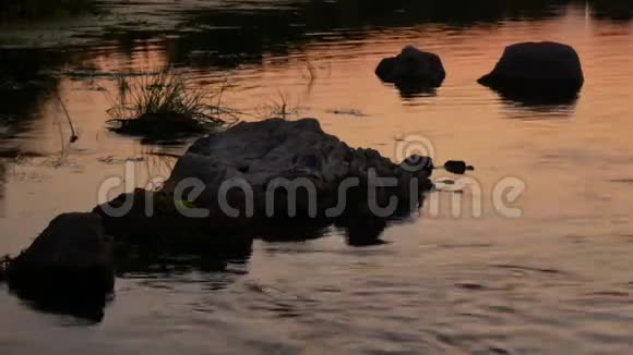 森林河日落黎明视频的预览图