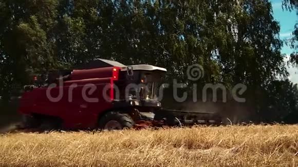 联合收割机收割小麦玉米吃的小麦农业文化特写视频的预览图