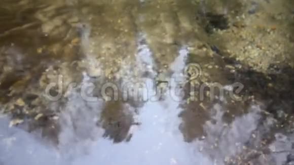 透明清澈的河水和石头视频的预览图