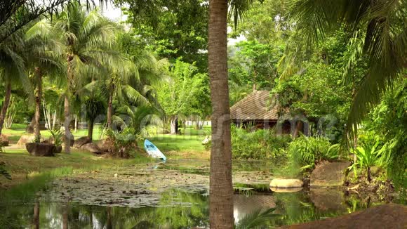 在东南亚的绿色太阳能丛林里有棕榈树的度假区有船的湖4K视频的预览图