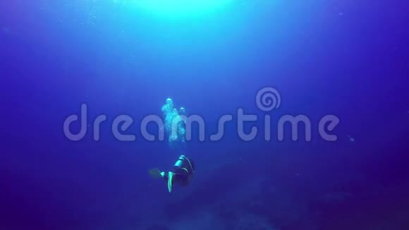 在蓝色清水中游泳的潜水者的水下射击视频的预览图