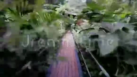 人上桥去丛林中的小屋视频的预览图