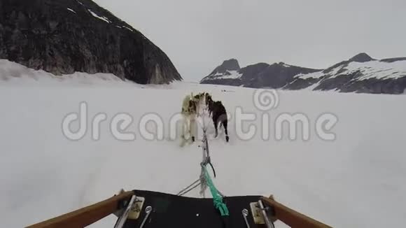 在阿拉斯加冰川的托博根狗雪橇视频的预览图