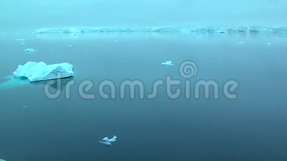 南极经典浮冰视频的预览图
