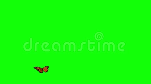 飘动的蝴蝶绿屏背景视频的预览图