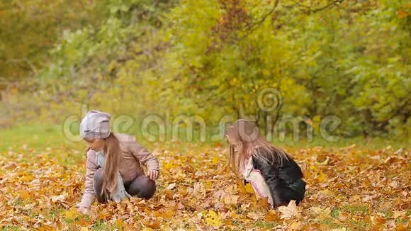 在秋日公园户外的温暖的一天小可爱的女孩在玩树叶视频的预览图
