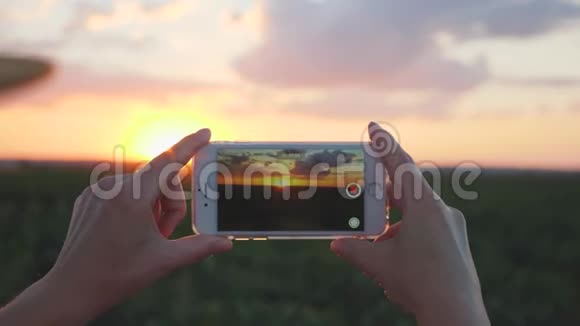女孩农学家在农业中使用智能手机夕阳下的智能手机视频的预览图