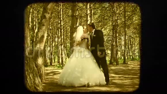新婚夫妇永恒的婚礼之吻视频的预览图