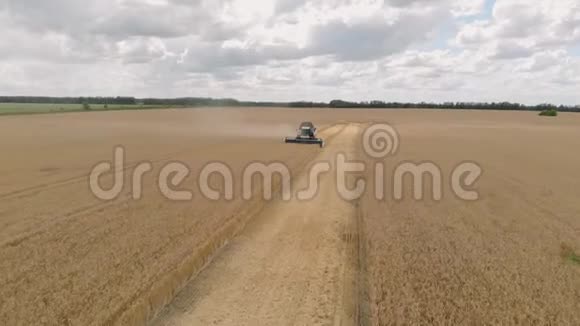 联合收割机农业机收割黄金熟麦田农业空中观景从上面视频的预览图