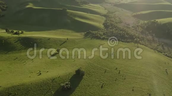 空中无人机镜头在日出的柔和光线下飞越森林田野和河流的秋山村视频的预览图
