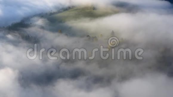 秋雾飘过树间的风景视频的预览图