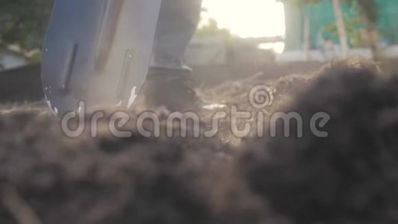 农夫用铲子挖地花园特写慢动作视频农夫在花园里工作生活方式视频的预览图