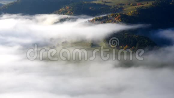 秋雾飘过树间的风景视频的预览图