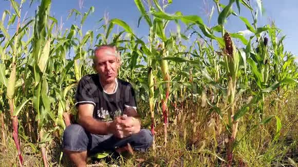 在玉米地前成功的农业工人视频的预览图