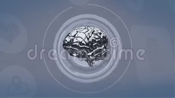 银色的大脑在旋转视频的预览图