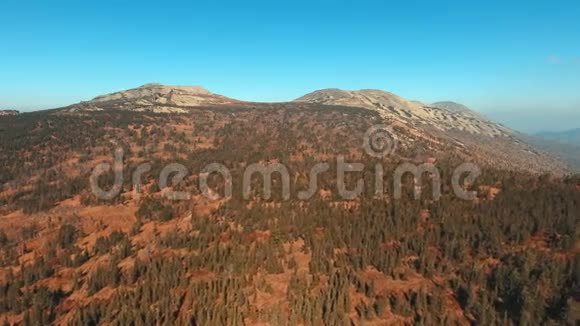 针叶山林在山上的森林里日落的颜色视频的预览图