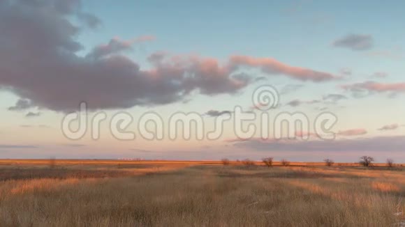 时光流逝俄罗斯冬天的夕阳带着淡紫色的云彩在草原的芦苇上视频的预览图