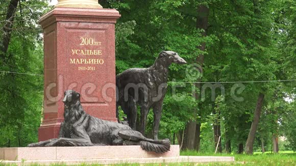 雕塑灰狗圣马力诺的遗产4K视频的预览图