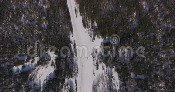 空中冬季针叶林和中部的乡村道路视频的预览图