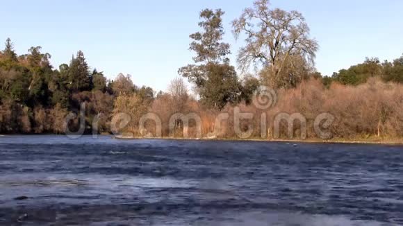 美国河流蓝天冬日树木视频的预览图