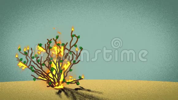 沙漠中圣经燃烧的丛林视频的预览图