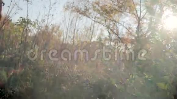 男人在树林里用脚近距离行走视频的预览图