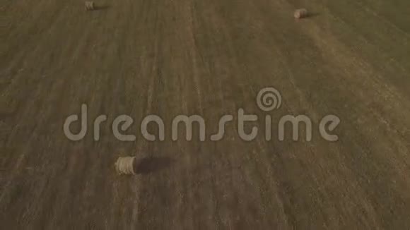 一堆干草堆在地上空中录像视频的预览图