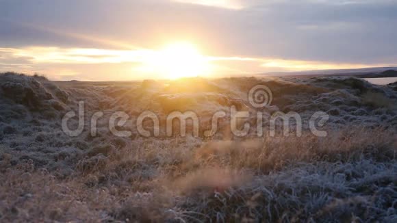 在长满草的冰冻景观中日落视频的预览图