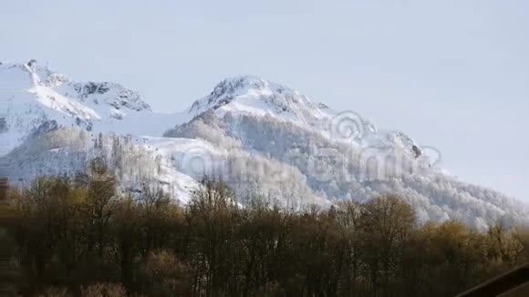 全景观雪山山峰山脚下的森林自然视频的预览图