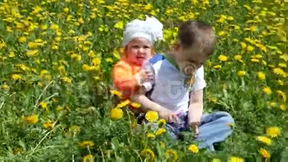 一个快乐的孩子和他的家人在蒲公英的春天的小路上一个带着手机的小男孩坐在绿色的草地上上面有黄色的视频的预览图