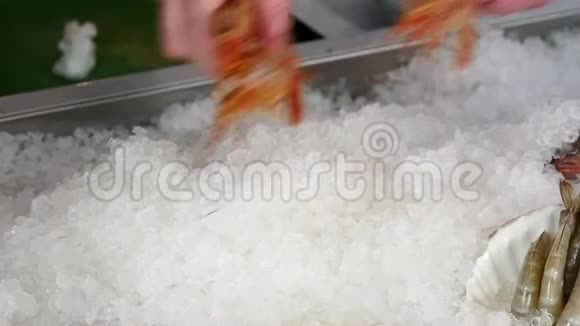 厨师的双手把新鲜的虾放在一家海鲜餐馆的冰上视频的预览图