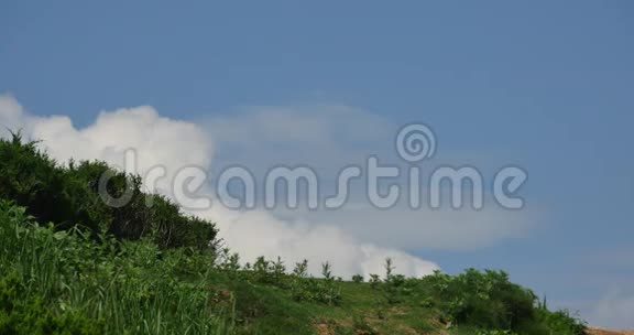 村庄山脉的全景蓝天中的阿尔托丘云视频的预览图