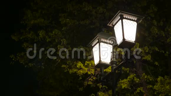 树背景上的灯笼亚历山大花园莫斯科视频的预览图