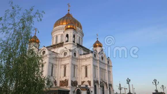 伯奇在莫斯科基督大教堂附近视频的预览图