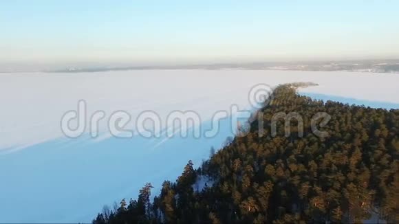 飞过森林在开普上空飞行冰冻的大海视频的预览图