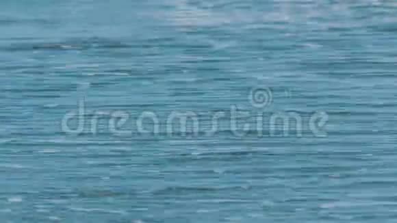 美丽的地中海绿松石波冲刷着沙质的海岸视频的预览图