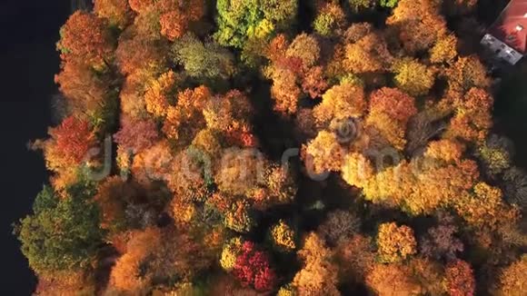 沿着秋天森林的城堡之路位于风景公园秋天有绿树森林4鸟瞰图视频的预览图