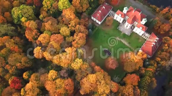 沿着秋天森林的城堡之路位于风景公园秋天有绿树森林4鸟瞰图视频的预览图