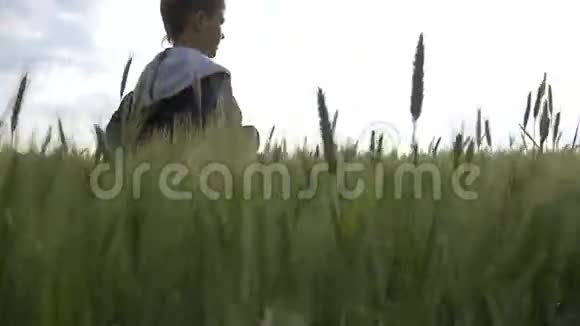 男孩在傍晚慢动作的麦田里奔跑视频的预览图