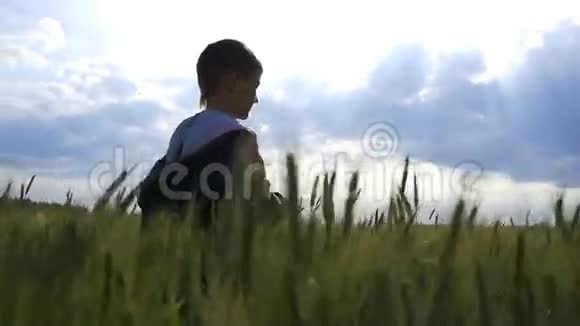 男孩在傍晚慢动作的麦田里奔跑视频的预览图