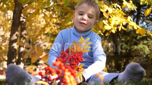 秋天公园里的一个孩子玩得很开心他玩黄色的叶子和罗文浆果晴朗的秋日视频的预览图