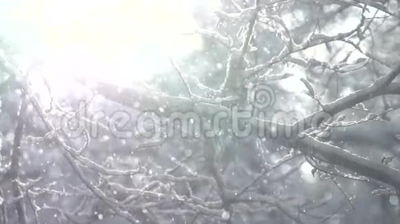 冬季童话森林视频的预览图