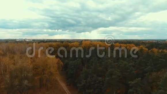 空中无人驾驶飞机飞过秋天的欧洲森林视频的预览图