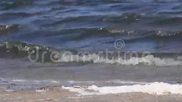 被污染的水波流到海岸视频的预览图