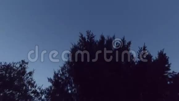 日落和大松树圣地姆相机动作平稳视频的预览图